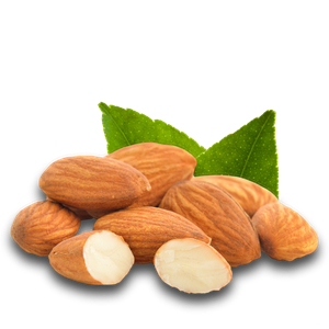 Almond PNG-50639